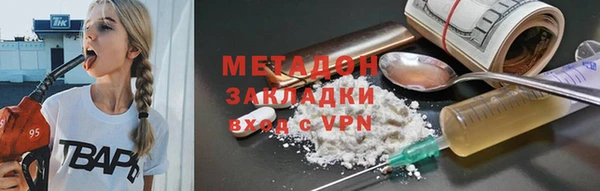 шишки Надым