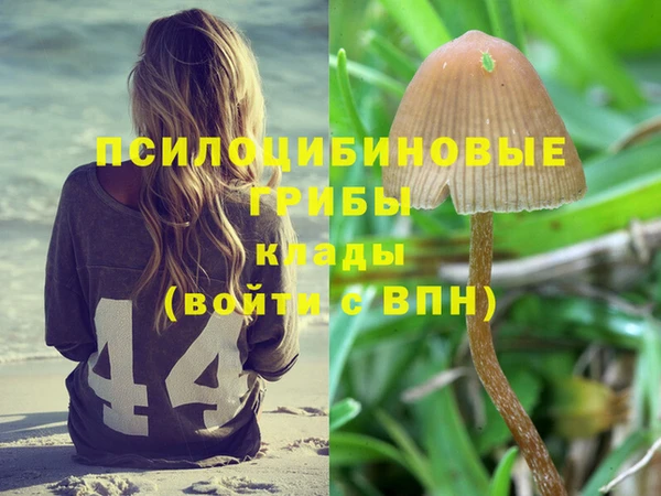 дурь Абдулино
